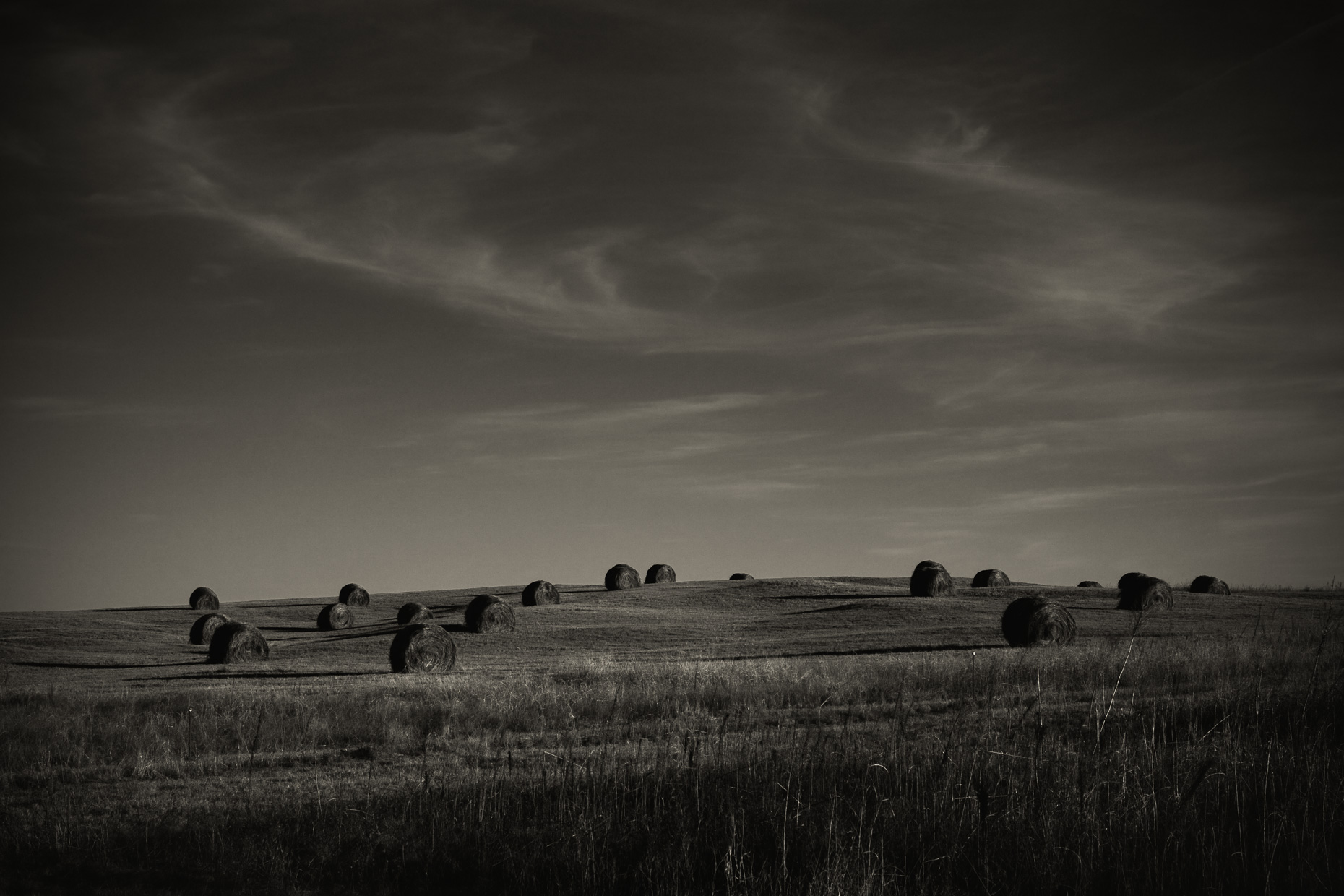 07_farm_MaresTail