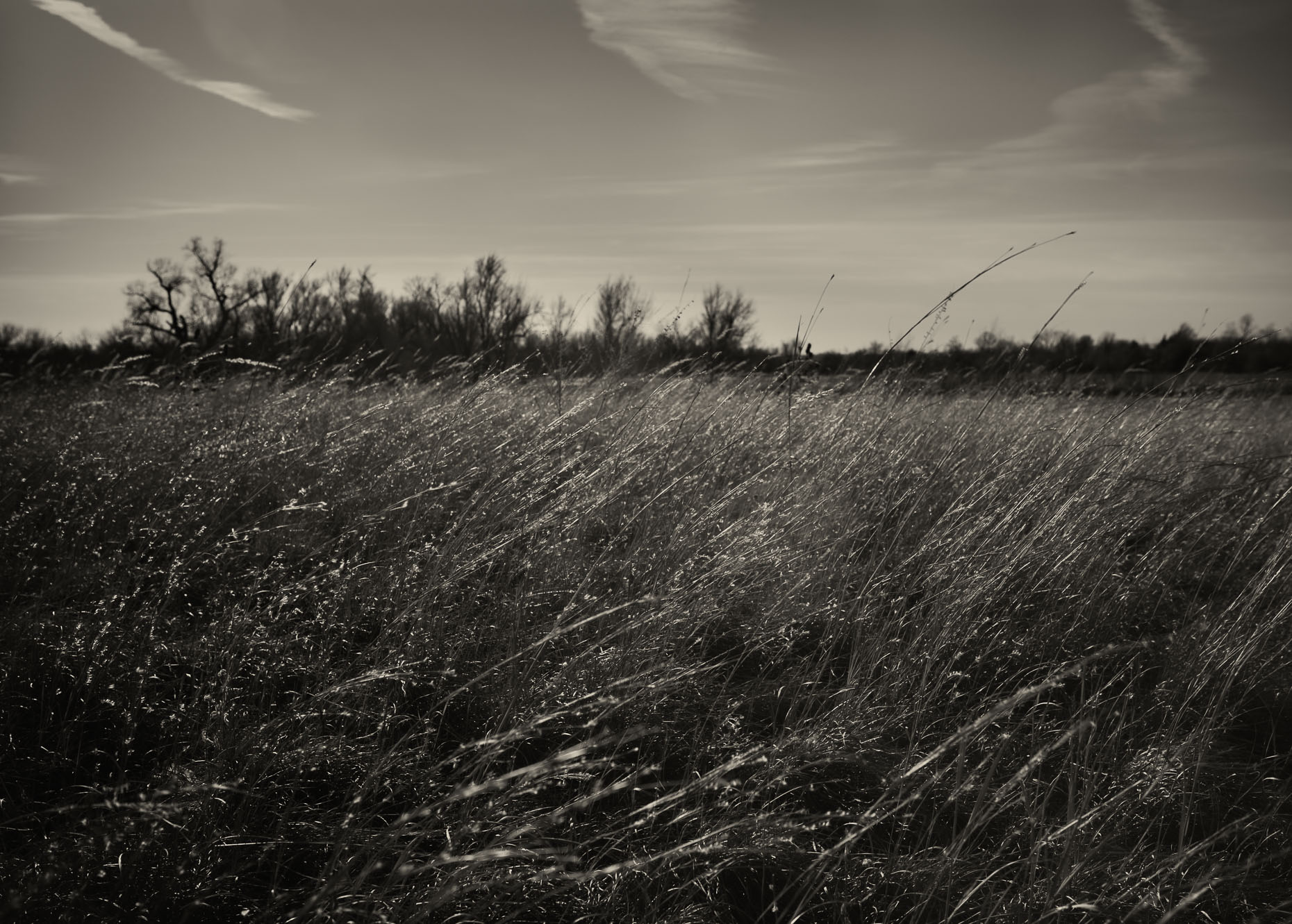 19_farm_Prairie