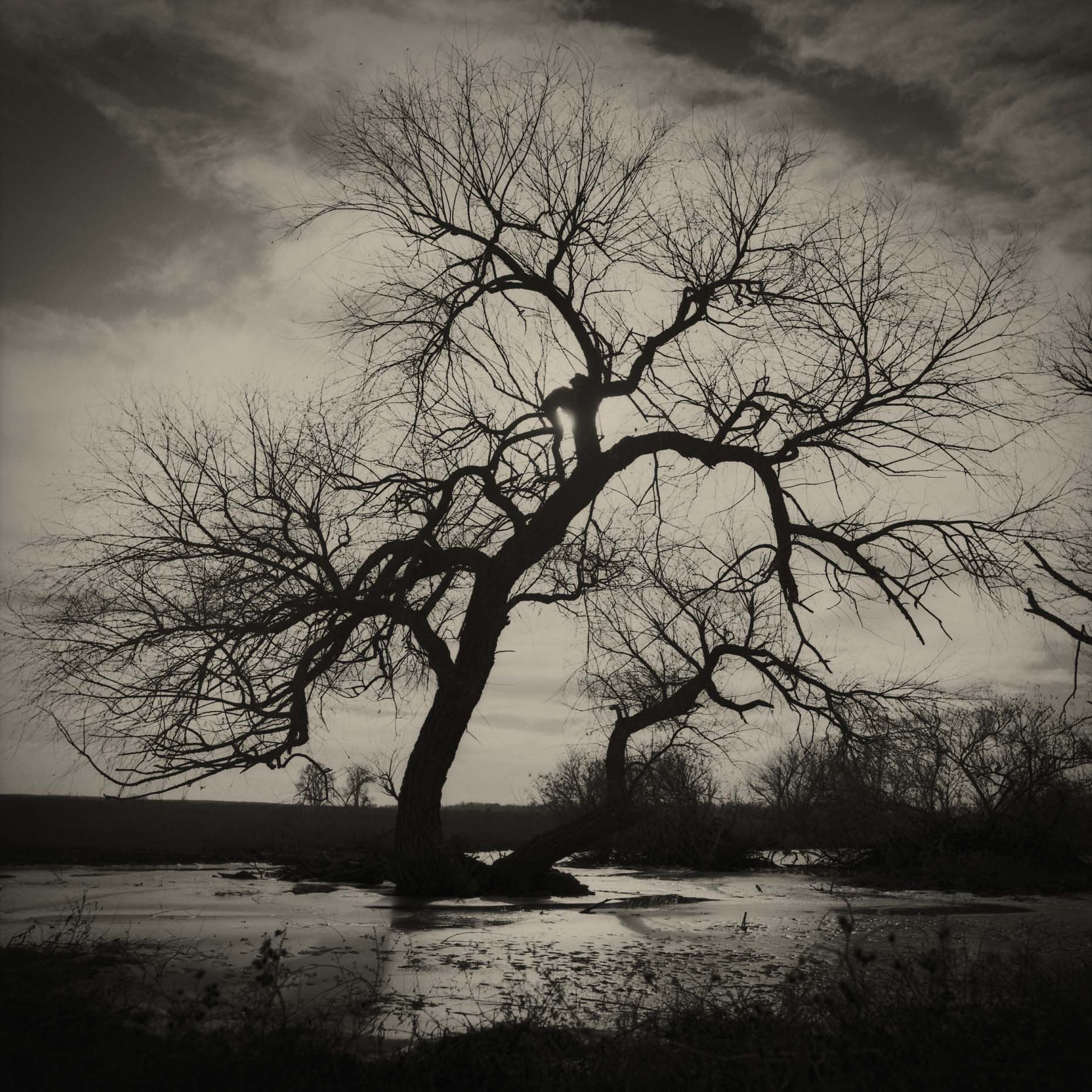 21_farm_MidnightOil
